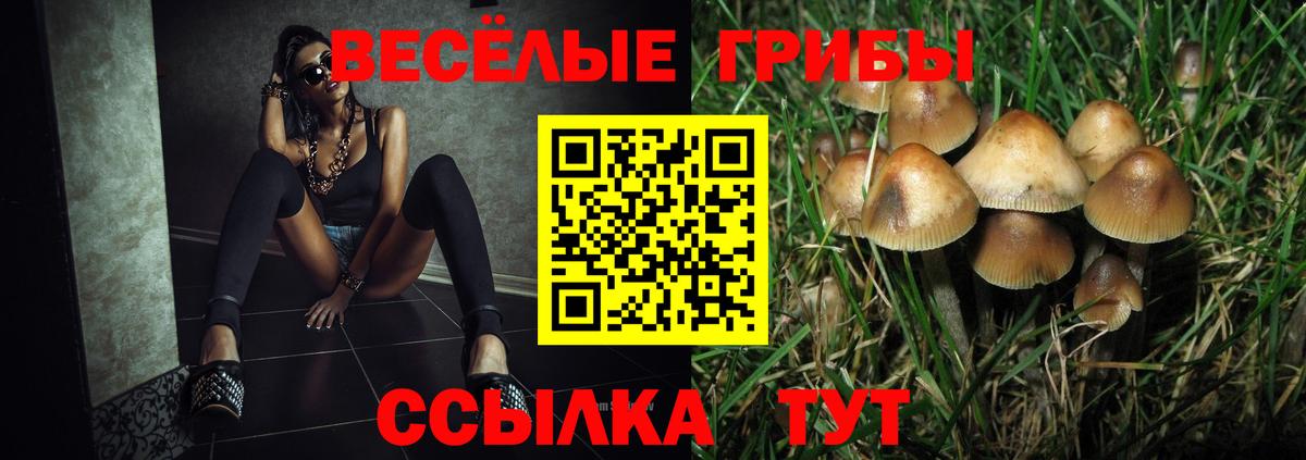 Благодарный  Галлюциногенные грибы Magic Shrooms  Вход с VPN 